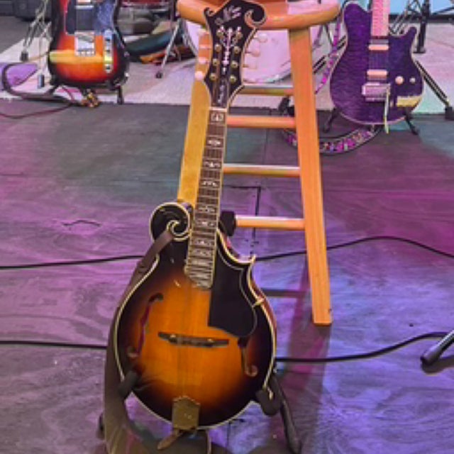 Stringed Instruments | Blake's Music Shop